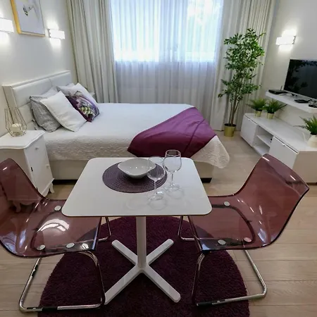 Apartment Raugyklos G. *